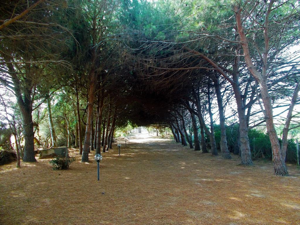Pineta Spiaggia Grande 칼라세타 외부 사진