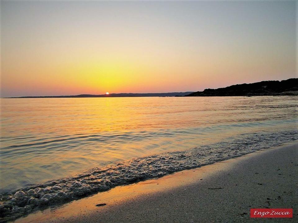 Pineta Spiaggia Grande 칼라세타 외부 사진